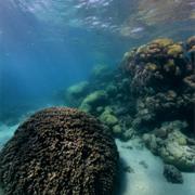 Ningaloo Marine National Park (WA)