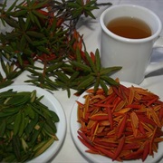 Labrador Tea