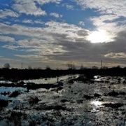 Surlingham Church Marsh
