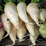 Munich Beer Radishes