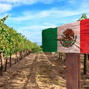 Mexico Wineries