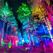 Electric Forest, Rothbury