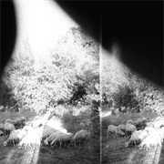 Godspeed You! Black Emperor - &#39;Asunder, Sweet and Other Distress&#39;