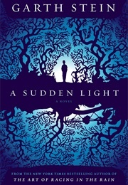A Sudden Light (Garth Stein)
