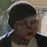 Apgadnieks - Husky Wesen