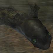 Dugbog (Harry Potter)