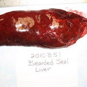 Seal Liver