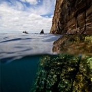 Split View, Galapagos Islands