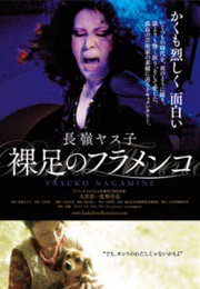 Nagamine Yasuko Hidashi No Furamenko (2013)