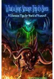 What a Long Strange Trip It's Been (2011)