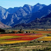 Franschoek South Africa