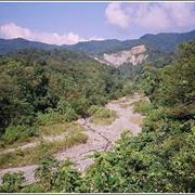 Manas Wildlife Sanctuary