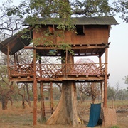 A Treehouse in a National Park