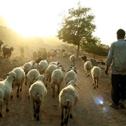 Cultural Landscape of Maymand