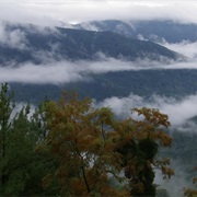 Frozen Head State Park, Tennessee