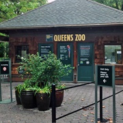 Queen's Zoo
