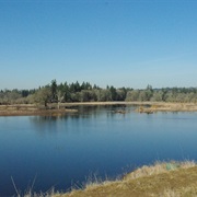 Tualatin River National Wildlife Refuge