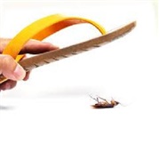 Was Afraid but Did It Anyway