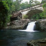 Paluma Range National Park (QLD)