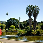 Royal Botanic Gardens Sydney