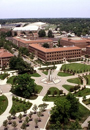 Faculty Fables: A Campy Expose (Gerald Stone)