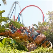 Tami-Tami (Port Aventura Spain)