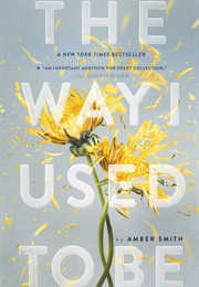The Way I Used to Be (Amber Smith)
