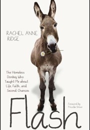 Flash: The Homeless Donkey Who Taught Me About Life, Faith, and Second Chances (Rachel Anne Ridge)
