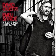 David Guetta Ft Emeli Sande - What I Did for Love