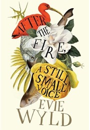 After the Fire, a Still Small Voice (Evie Wyld)