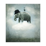 Elephant on a Cloud