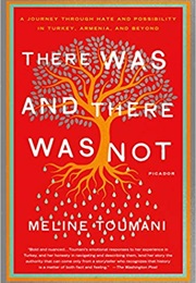 There Was and There Was Not (Meline Toumani)