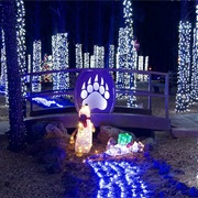 Visit Bearizona's Winter Wonderland