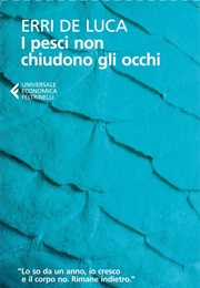 I Pesci Non Chiudono Gli Occhi (Erri De Luca)