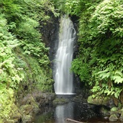 Cranny Falls