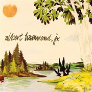 Albert Hammond Jr. - Yours to Keep