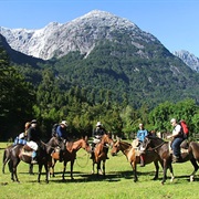 Horse Ride Through Argentinian Countryside