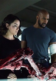 Agents of S.H.I.E.L.D. S3ep16: Paradise Lost (2016)