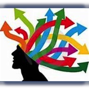 Internal Pluralism Concept