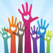 Volunteer With Animals