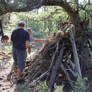 Build Improvised Outdoor Shelters