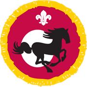 Equestrian Activity Badge
