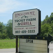 English Mountain Trout Farm Sevierville, TN