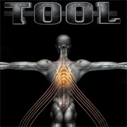 Tool - Salival