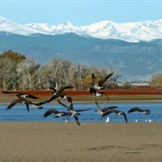 Barr Lake State Park