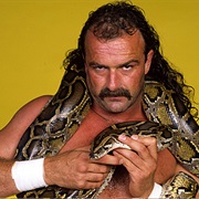 Jake Roberts