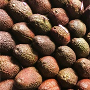 #42:  Appetizers and Snacks:  Jicama-Guacamole Bites