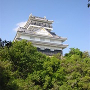 Gifu Castle