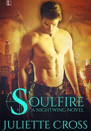 Nightwing Series (Juliette Cross)