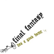 Owen Pallett / Final Fantasy - Has a Good Home